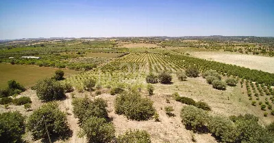 Rustico/Casale in vendita a Noto - foto 8