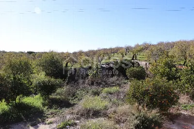 Rustico/Casale in vendita a Noto - foto 6