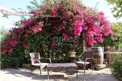 Villa in vendita a Noto - foto 5