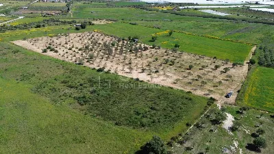 Rustico/Casale in vendita a Noto - foto 6