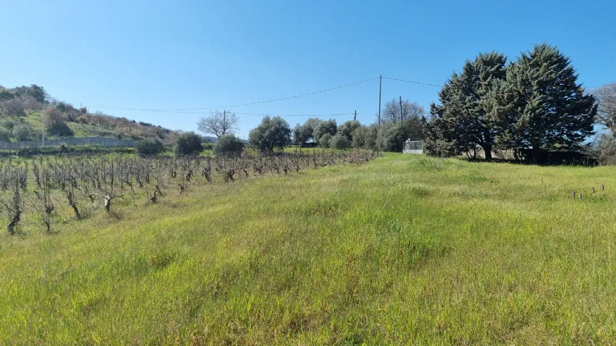 Rustico/Casale in vendita a Ozieri - foto 3