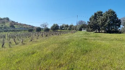 Rustico/Casale in vendita a Ozieri - foto 2