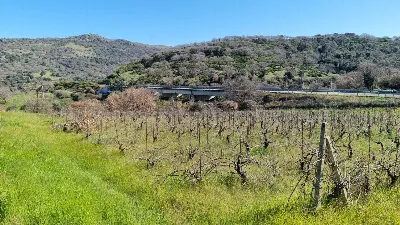 Rustico/Casale in vendita a Ozieri - foto 4