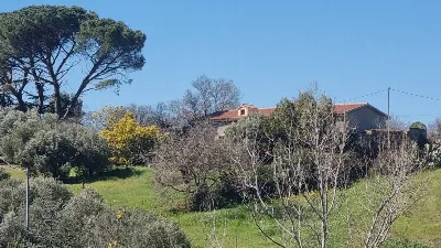 Rustico/Casale in vendita a Ozieri - foto 7