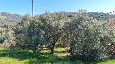 Rustico/Casale in vendita a Ozieri - foto 9