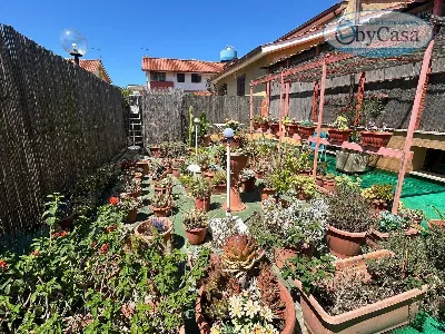 Villa in vendita a Ladispoli - foto 5
