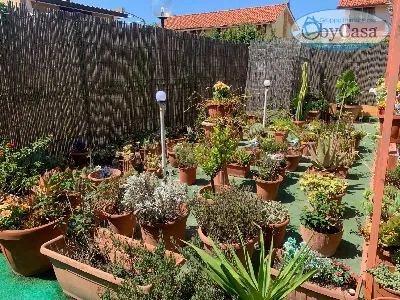 Villa in vendita a Ladispoli - foto 6