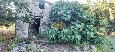 Rustico/Casale in vendita a Striano - foto 2