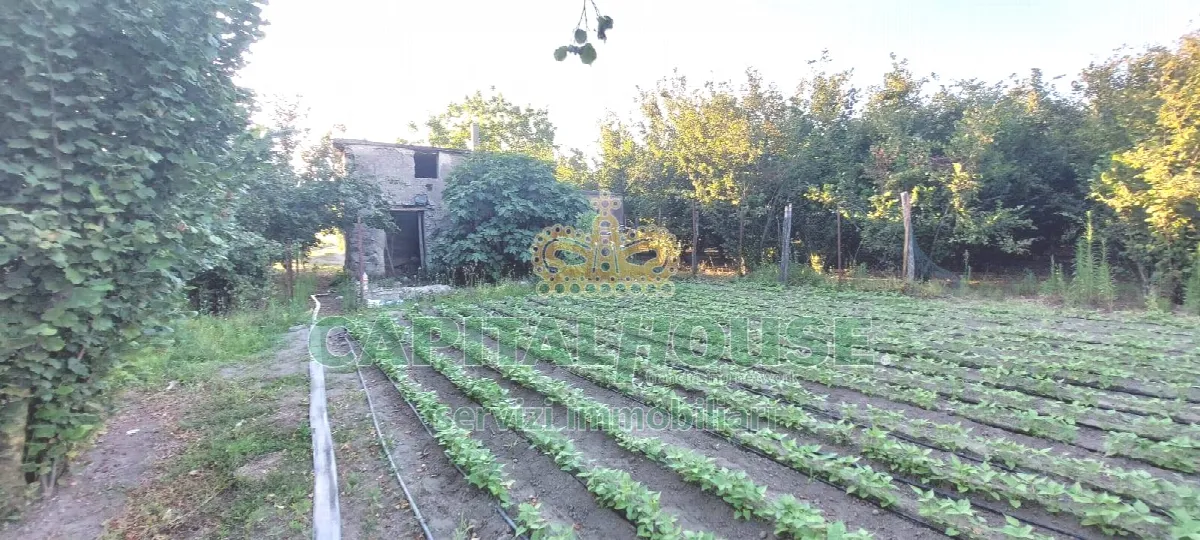 Rustico/Casale in vendita a Striano - foto 3