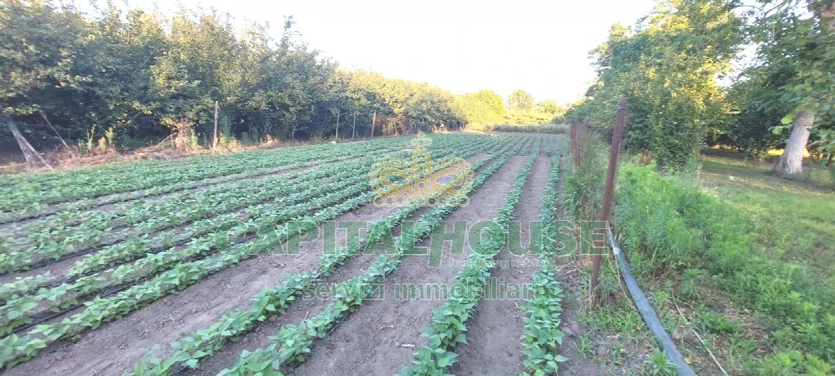 Rustico/Casale in vendita a Striano - foto 5