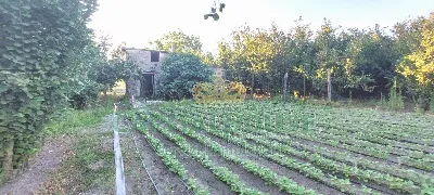 Rustico/Casale in vendita a Striano - foto 6