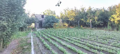 Rustico/Casale in vendita a Striano - foto 7