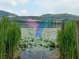 Villa in vendita a Revine Lago - foto 2