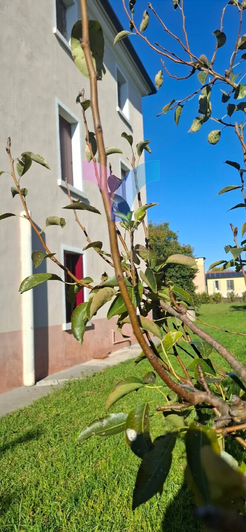 Villa in vendita a Oderzo - foto 7