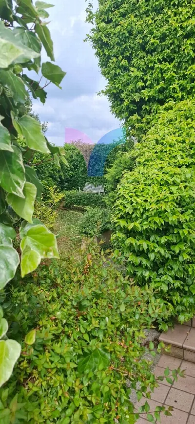 Villa in vendita a Paese - foto 3
