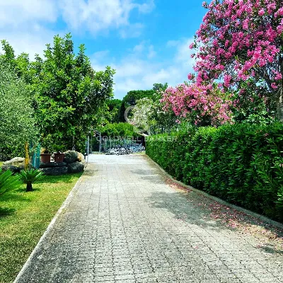 Palazzo/Stabile in vendita a Campo nell'El... - foto 5