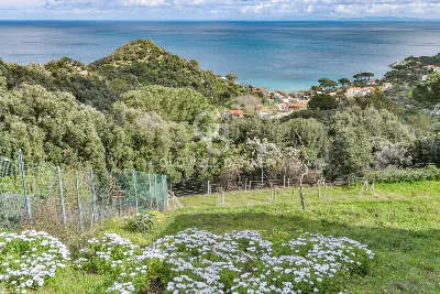 Villa in vendita a Marciana - foto 4