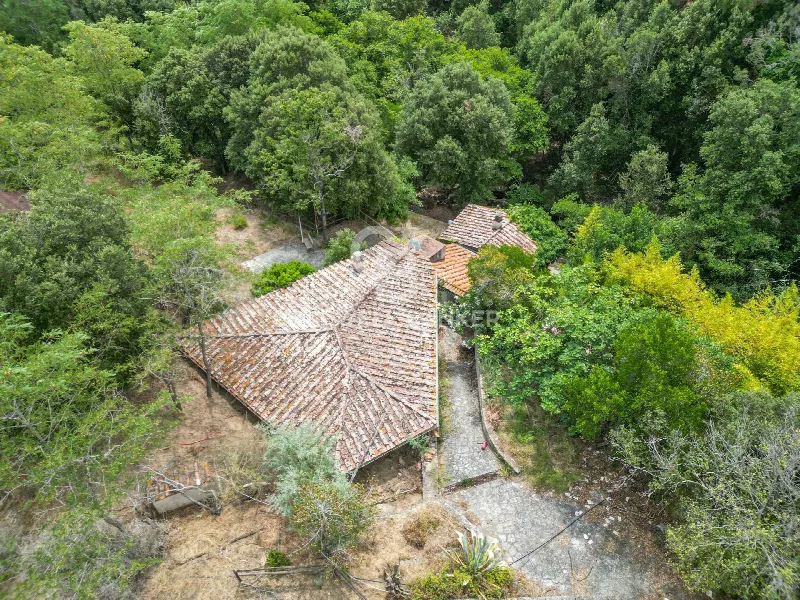 Rustico/Casale in vendita a Campo nell'Elba - foto 1