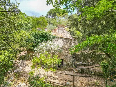 Rustico/Casale in vendita a Campo nell'Elb... - foto 10