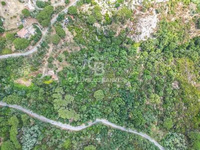 Rustico/Casale in vendita a Campo nell'Elb... - foto 4