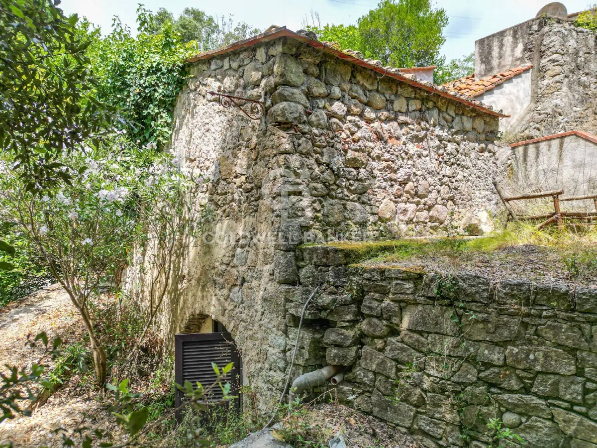 Rustico/Casale in vendita a Campo nell'Elba - foto 5