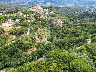 Rustico/Casale in vendita a Campo nell'Elb... - foto 6