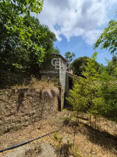 Rustico/Casale in vendita a Campo nell'Elb... - foto 8