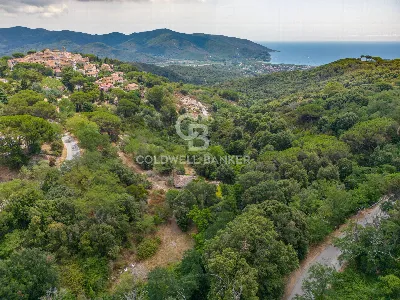 Rustico/Casale in vendita a Campo nell'Elb... - foto 9