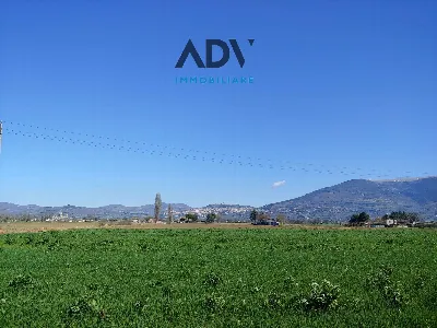 Rustico/Casale in vendita a Assisi - foto 5