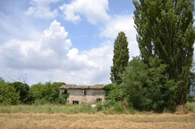 Rustico/Casale in vendita a Assisi - foto 7