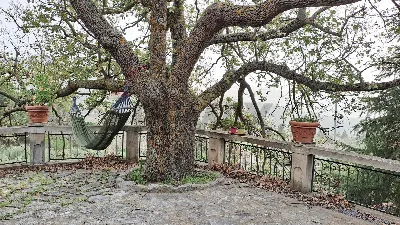 Villa in vendita a Polizzi Generosa - foto 5