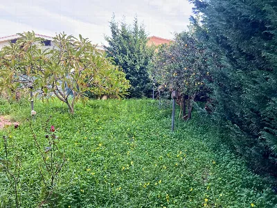 Casa Indipendente in vendita a Campofelice... - foto 4