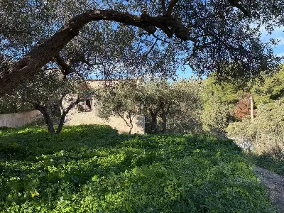 Villa in vendita a Ventimiglia di Sicilia - foto 4