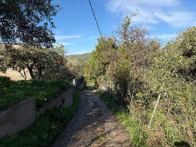 Villa in vendita a Ventimiglia di Sicilia - foto 6