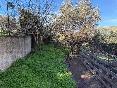 Villa in vendita a Ventimiglia di Sicilia - foto 9