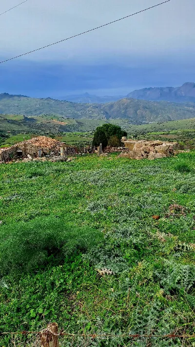 Rustico/Casale in vendita a Collesano - foto 10