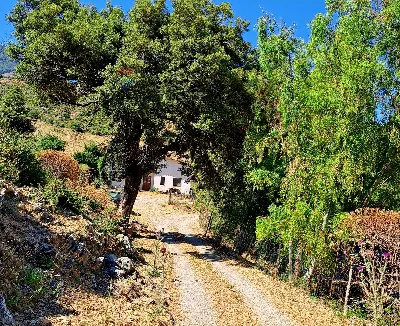 Rustico/Casale in vendita a Collesano - foto 9