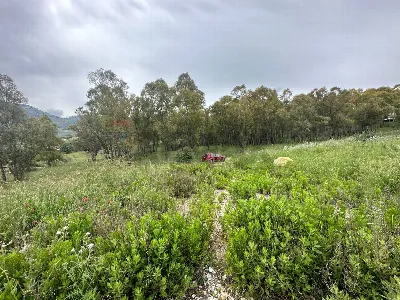 Villa in vendita a Monreale - foto 6