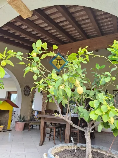Villa in vendita a Annone Veneto - foto 4