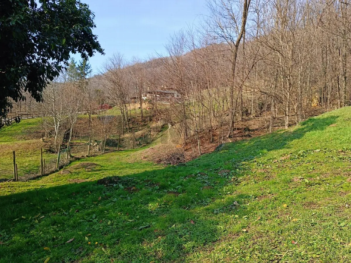 Rustico/Casale in vendita a Castelcucco - foto 4
