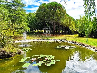 Rustico/Casale in vendita a Rocca San Casc... - foto 6