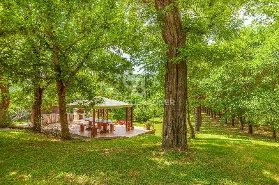 Rustico/Casale in vendita a Rocca San Casc... - foto 9