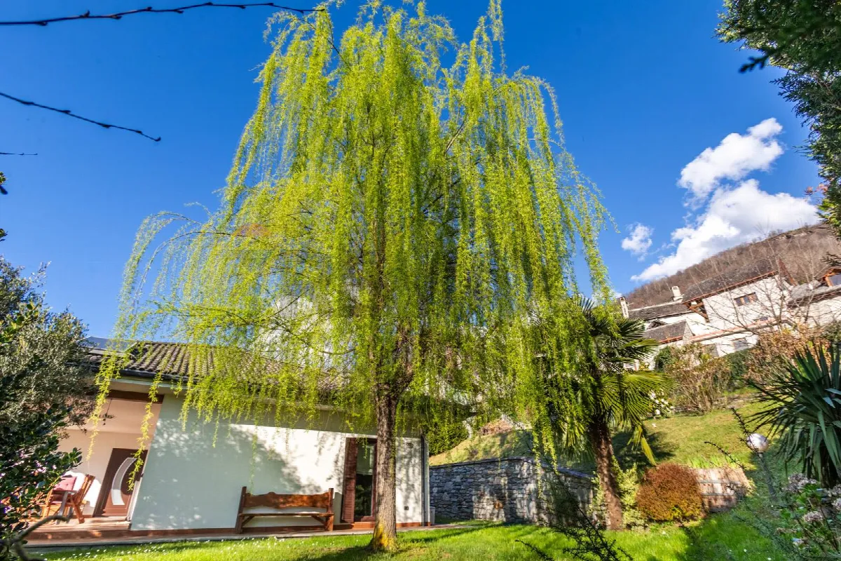 Villa in vendita a Masera - foto 5