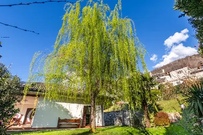 Villa in vendita a Masera - foto 5