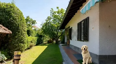 Villa in vendita a Agrate Conturbia - foto 10