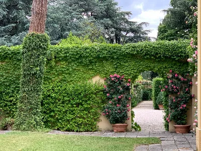 Villa in vendita a Cesena, Torre del moro,... - foto 6