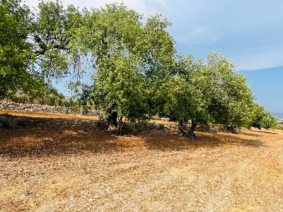 Rustico/Casale in vendita a Ragusa, Zona I... - foto 8