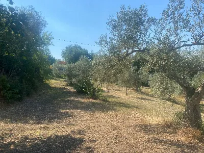 Rustico/Casale in vendita a Monterosso Alm... - foto 2
