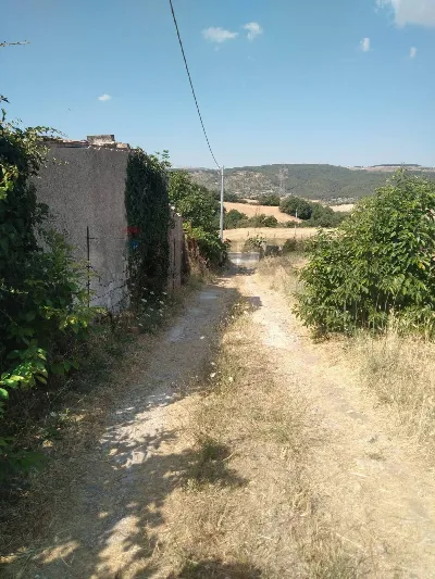 Rustico/Casale in vendita a Monterosso Alm... - foto 5