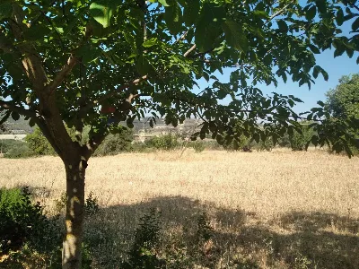 Rustico/Casale in vendita a Monterosso Alm... - foto 8